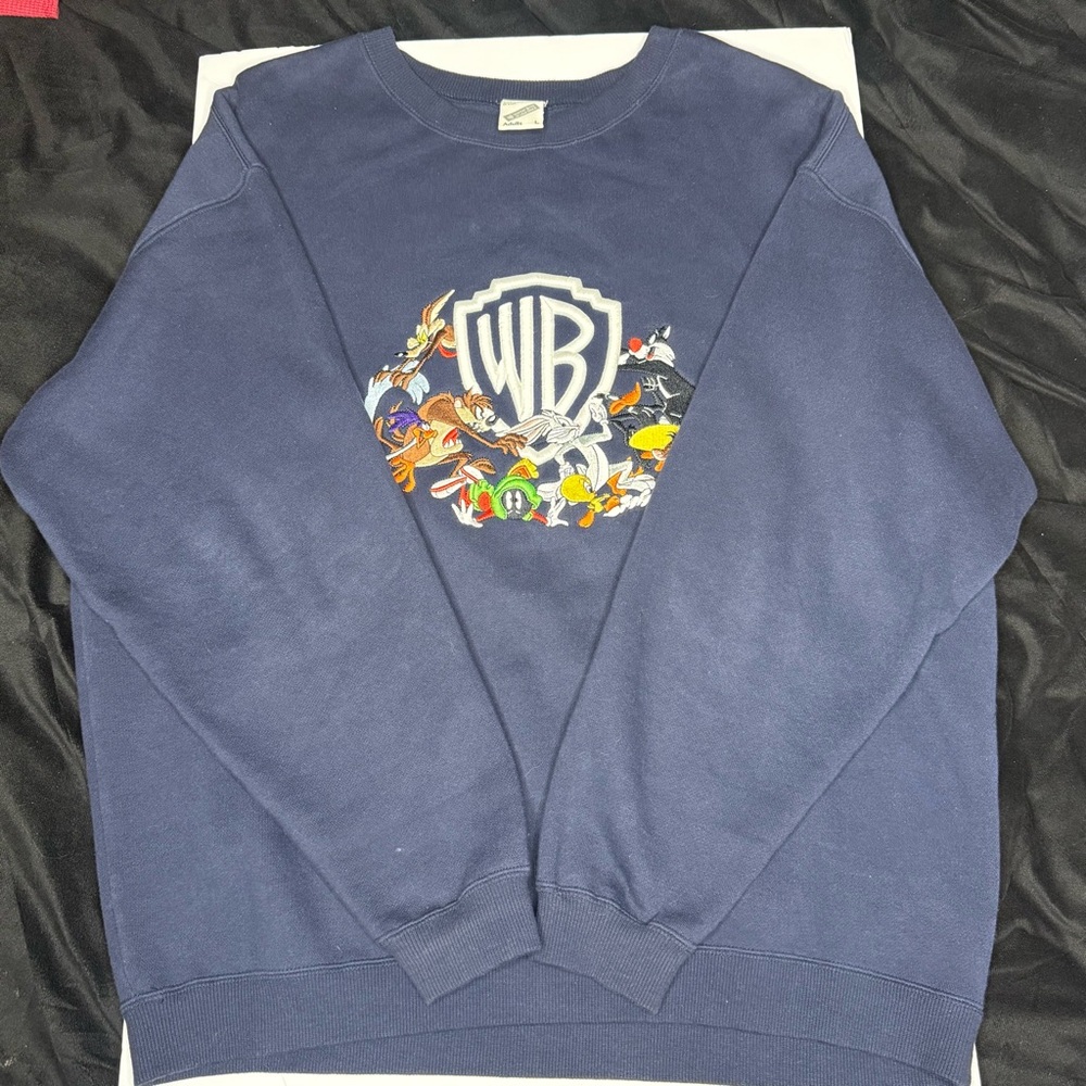 Warner Bros. Dark Blue Crewneck Sweater